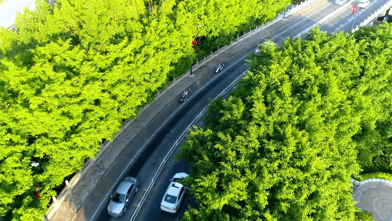 梅州游玩景点一日游免费,梅州免费旅游景点大全介绍