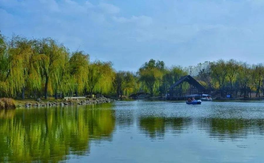 青岛景点春节免费开放通知,青岛六十岁老人去哪些景点免费