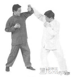 武当隐仙拳技击术,武当秘门技击术