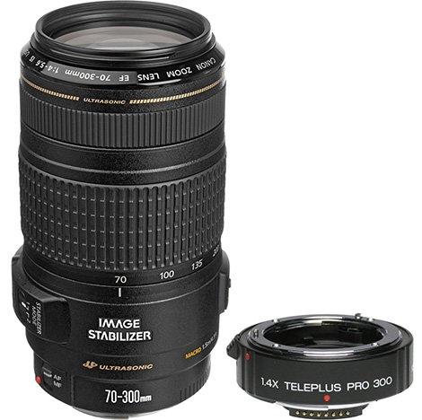 拍鸟类的拍摄方法,拍摄鸟类的入门技巧