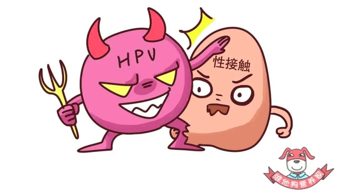 打了HPV疫苗还会患宫颈癌吗