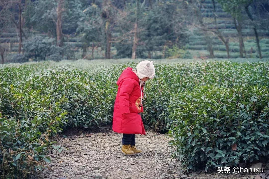 寻梦九溪风景区,寻梦九溪风景图片