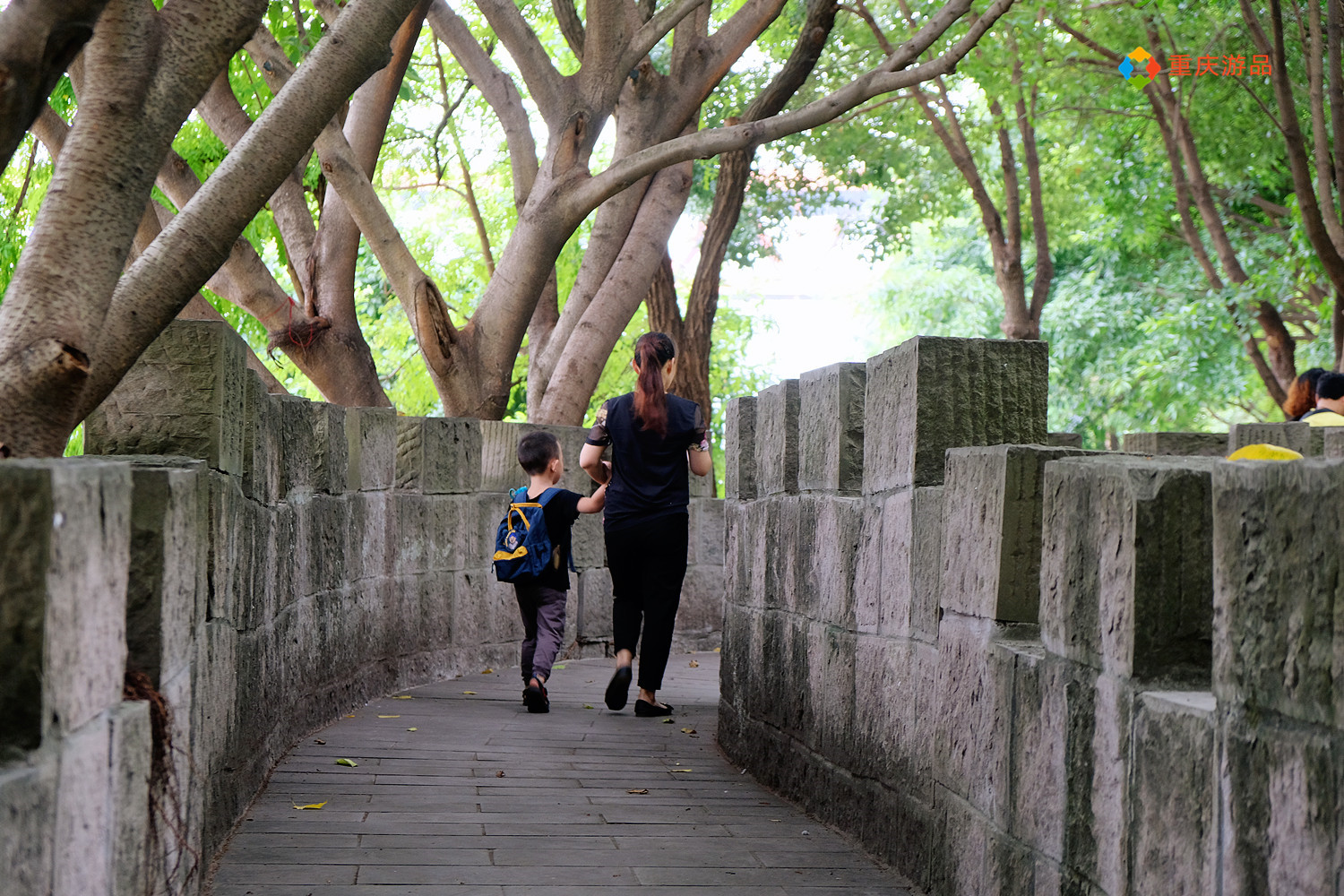 重庆有趣的冷知识,重庆冷知识奉节