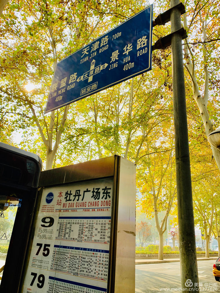 手机拍洛阳,涧西牡丹广场老照片