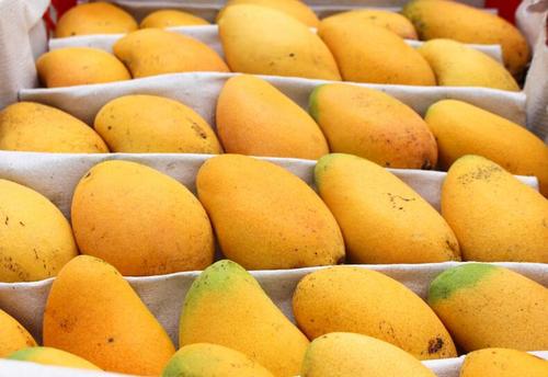 芒果有小黑斑还能不能吃啊,芒果外面有黑点黑斑是什么原因