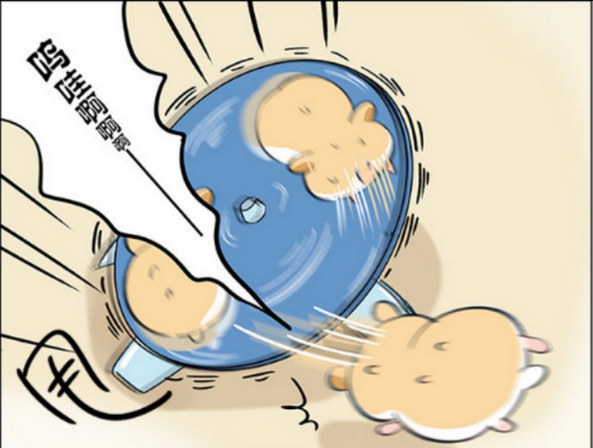 仓鼠跑步速度有多快,仓鼠跑步的速度有多快