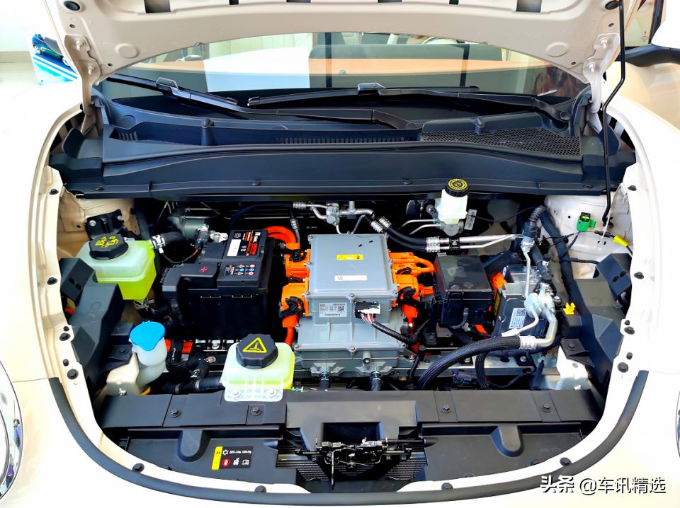 这有一只“好猫”登陆厦门，欢迎来“撸”