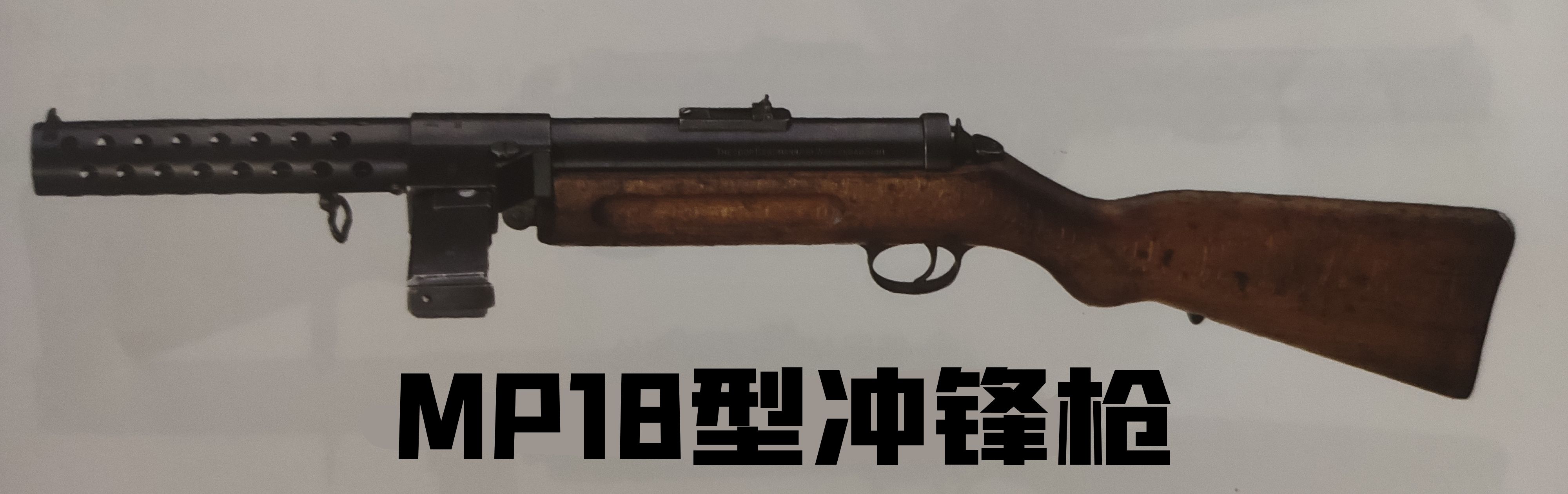 英国枪史图册全篇,德国枪图片