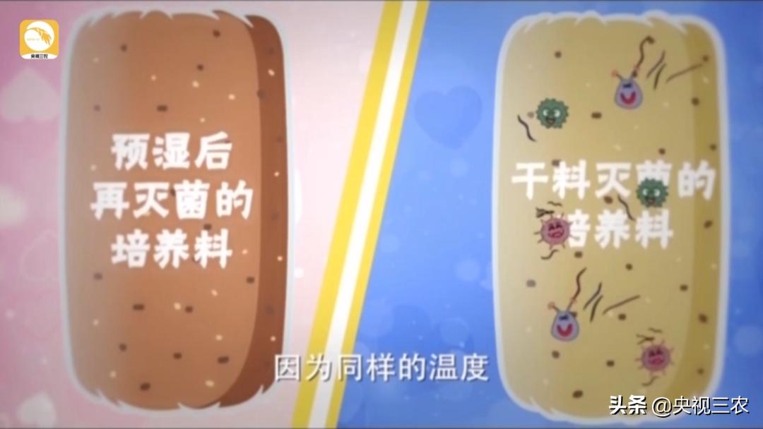 木耳一年利润多少钱,木耳赚钱案例