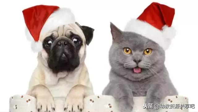 圣诞节幼儿园活动有哪些,圣诞节主题活动幼儿园方案