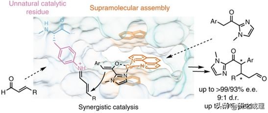 鍌寲蹇姤鏈熷垔,鍌寲鏉傚織灏侀潰