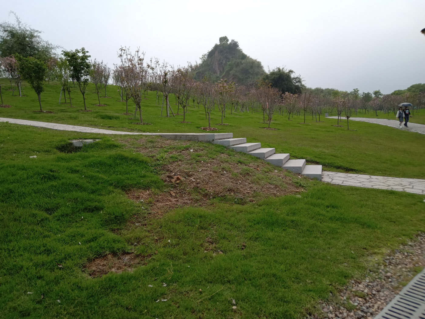 福州大学就像一座大公园，风景美到爆！最美的世界一流学科院校