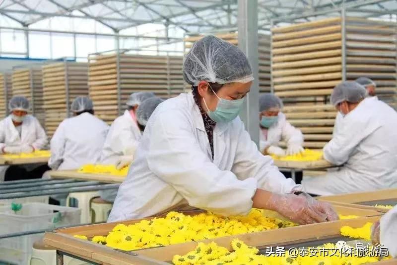 马上过年了买点北方的特产,快过年了有什么东西送给家人