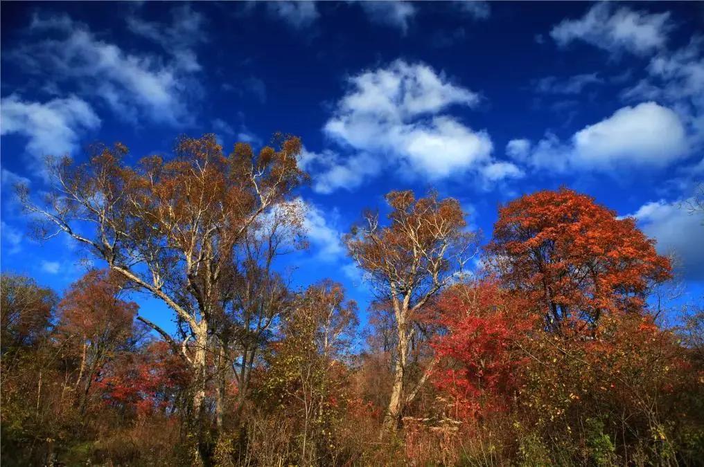 旅游景点畅玩团购,景点游玩优惠团购