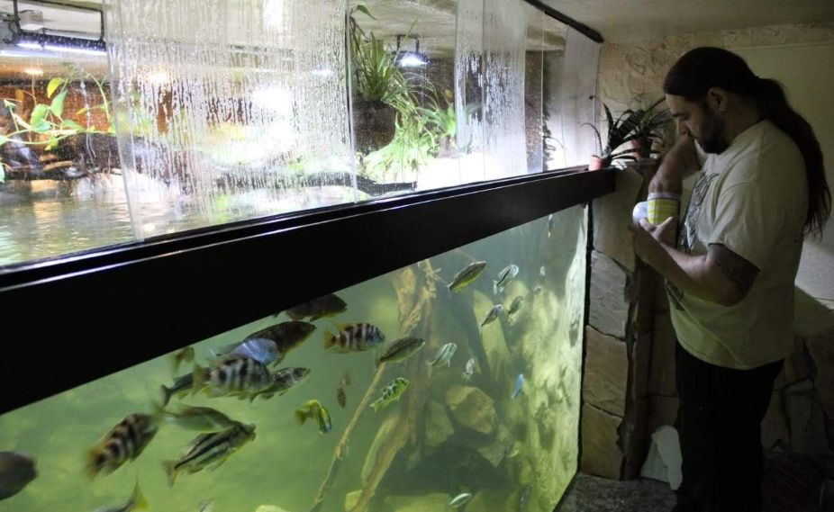 自己做大型水陆缸,在家自己打造一个沙漠缸