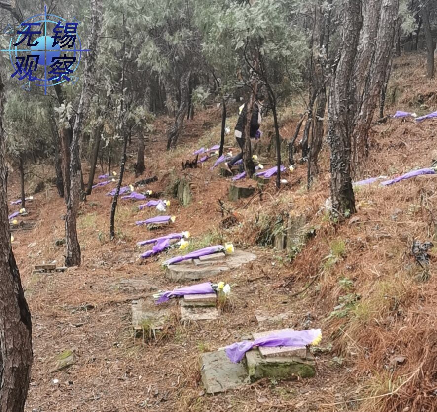 无锡公墓今年能扫墓吗,祭扫烈士墓的方法