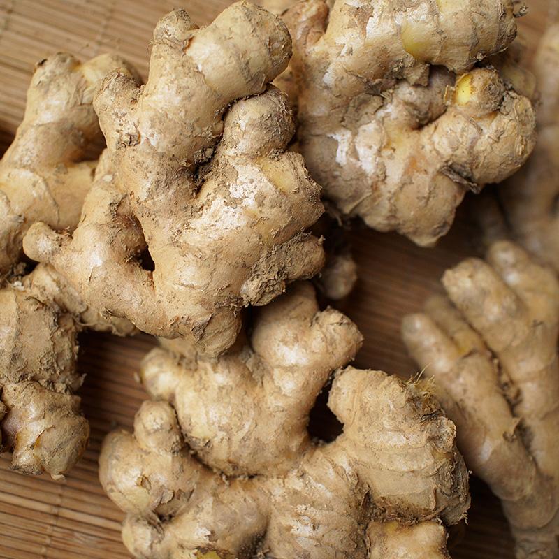 种植生姜的盆栽方法,生姜盆栽种植方法加水爆盆