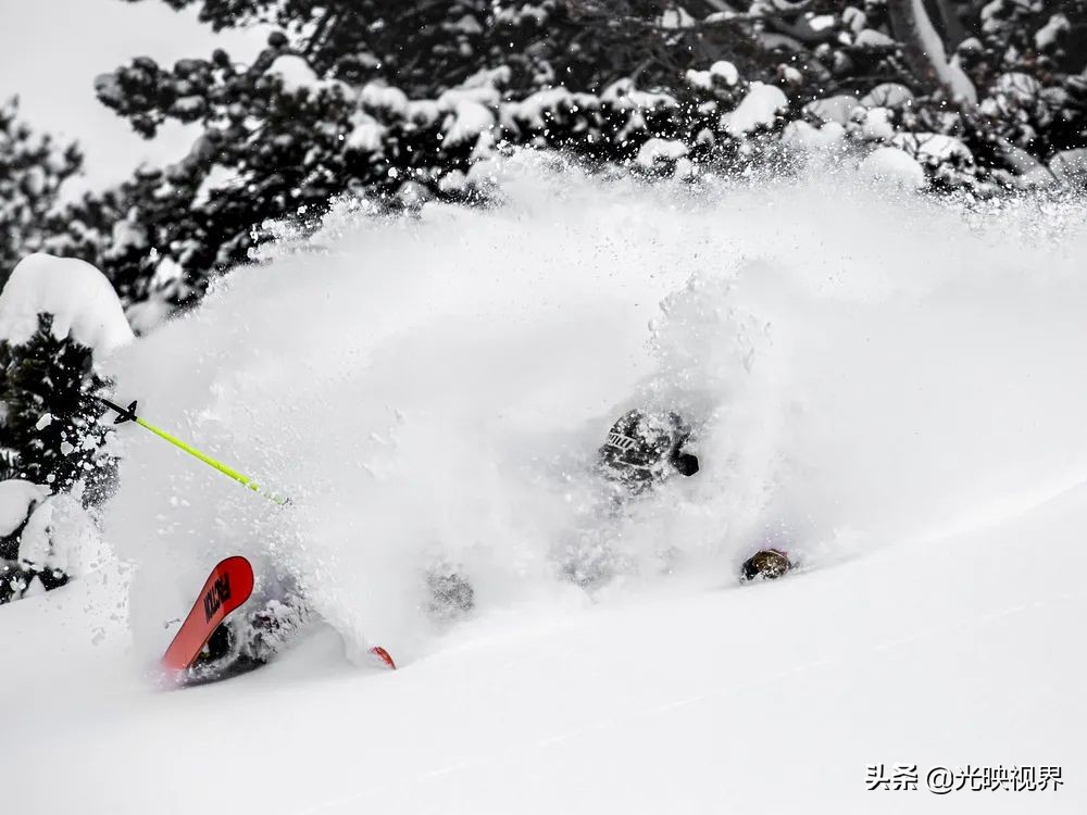 2022年度的ipa摄影大赛获奖作品,2020ippa摄影大赛奖项公布