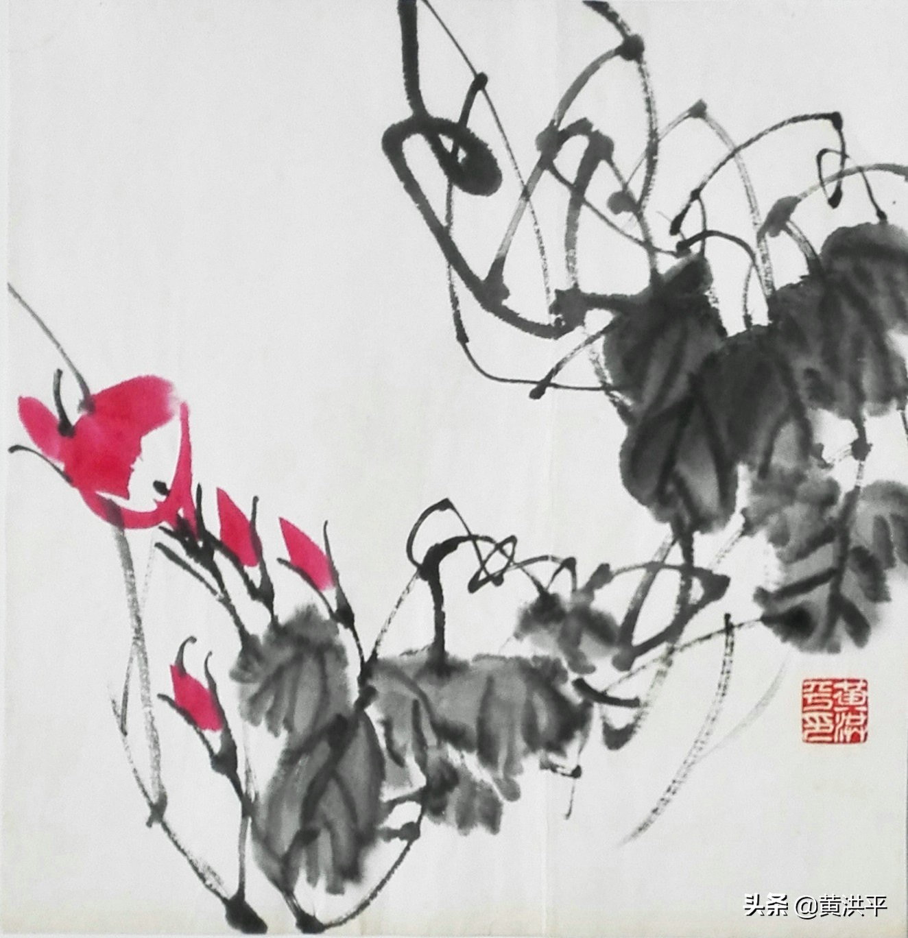 牵牛花柔弱还是脆弱,盛开的牵牛花