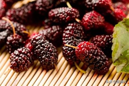 六个月宝宝除了米粉可以吃什么,六个月宝宝除了米粉还能吃什么