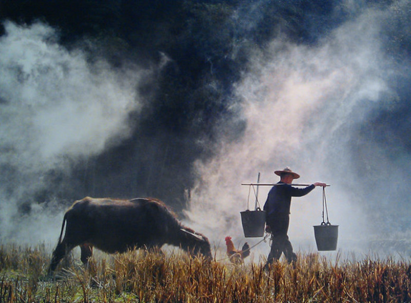 失地农民就业困难的原因,街道失地农民再就业工作