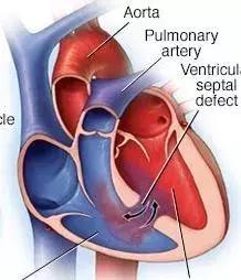 心脏使用说明及保养,心脏用药记忆口诀