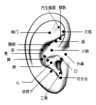 卵泡只长大不排卵怎么办,卵泡不破心理崩溃了