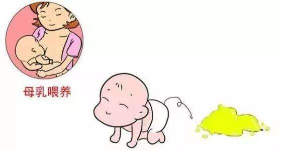 新生儿宝宝便便识别方法图解,医生科普婴儿便便