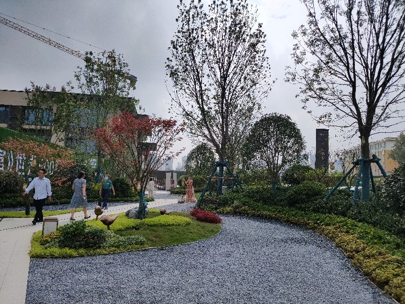 南阳碧桂园南都府论坛,南阳碧桂园南都府轻资产