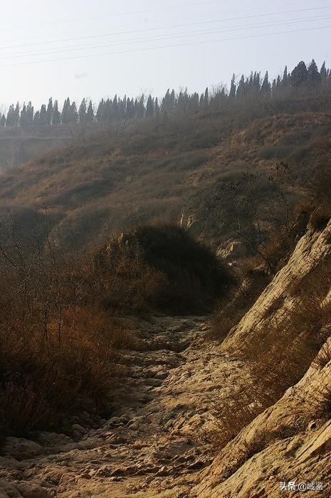 你可能从没意识到，原来这些东西也是*物文**