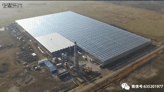 夏天为什么你的温室大棚不能用，而别人家的温室大棚里凉爽宜人