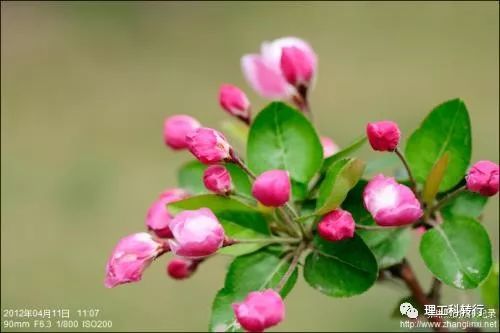 环境工程就业方向及前景,环境工程就业难吗