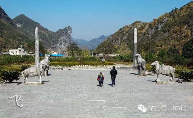 桂林兴安漠川银杏最佳观赏时间,桂林兴安漠川银杏网红打卡地