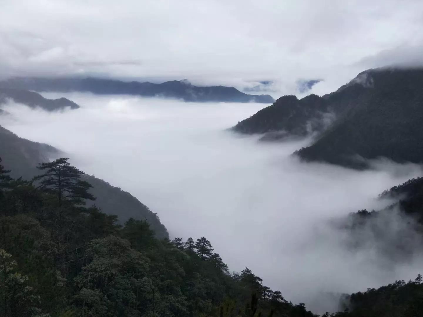 美丽的浙江山城龙泉,龙泉是一座什么样的城市