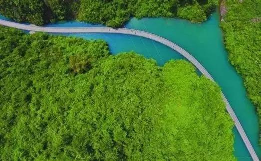 恩施，凭什么持续美哭全国，惊艳世界？