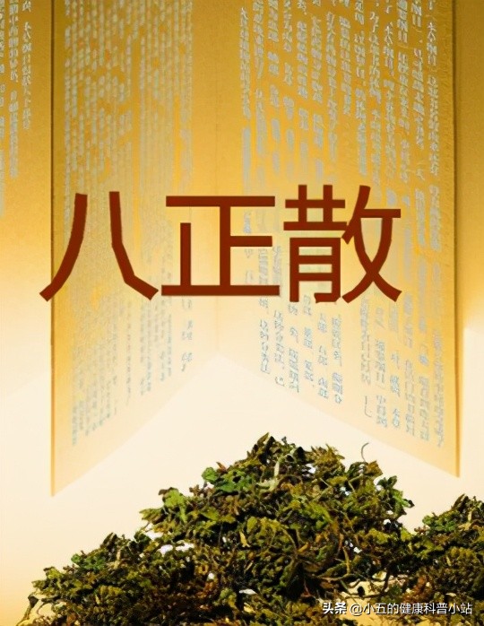 探索银花泌炎灵片的抗炎之旅,银花泌炎灵片治愈效果