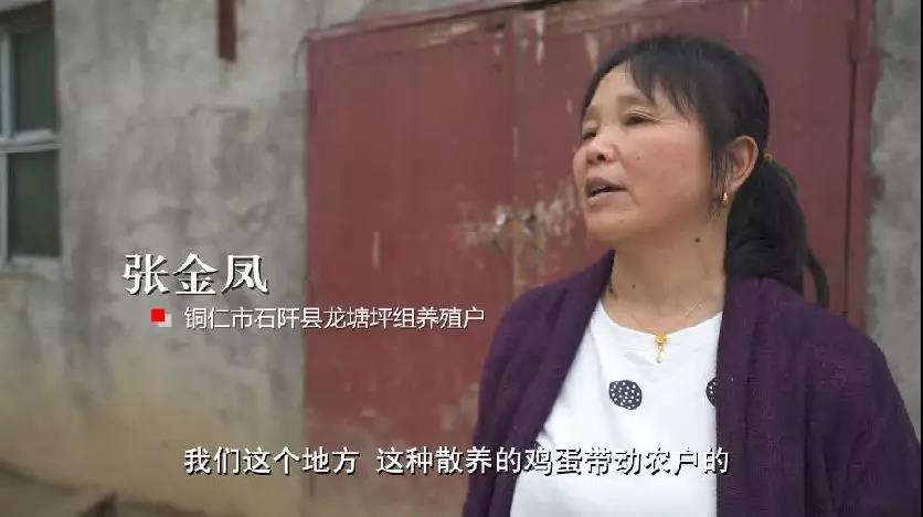 布瑞克农产品数据库,布瑞克农业数据库下载