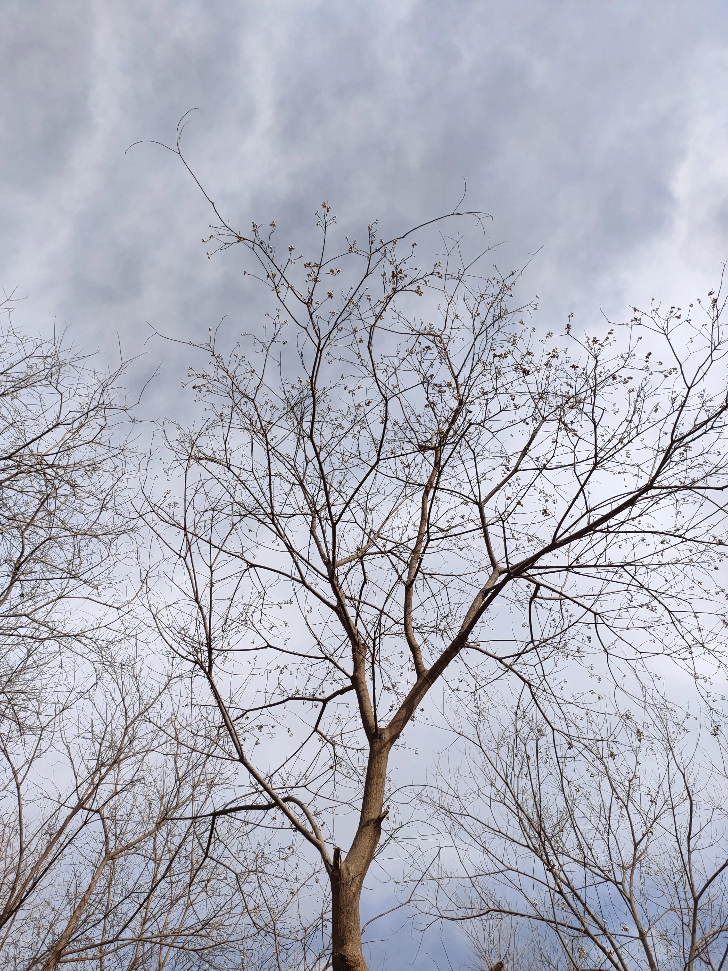 写作文结尾怎么写才能得高分,写作技巧开头和结尾怎么写