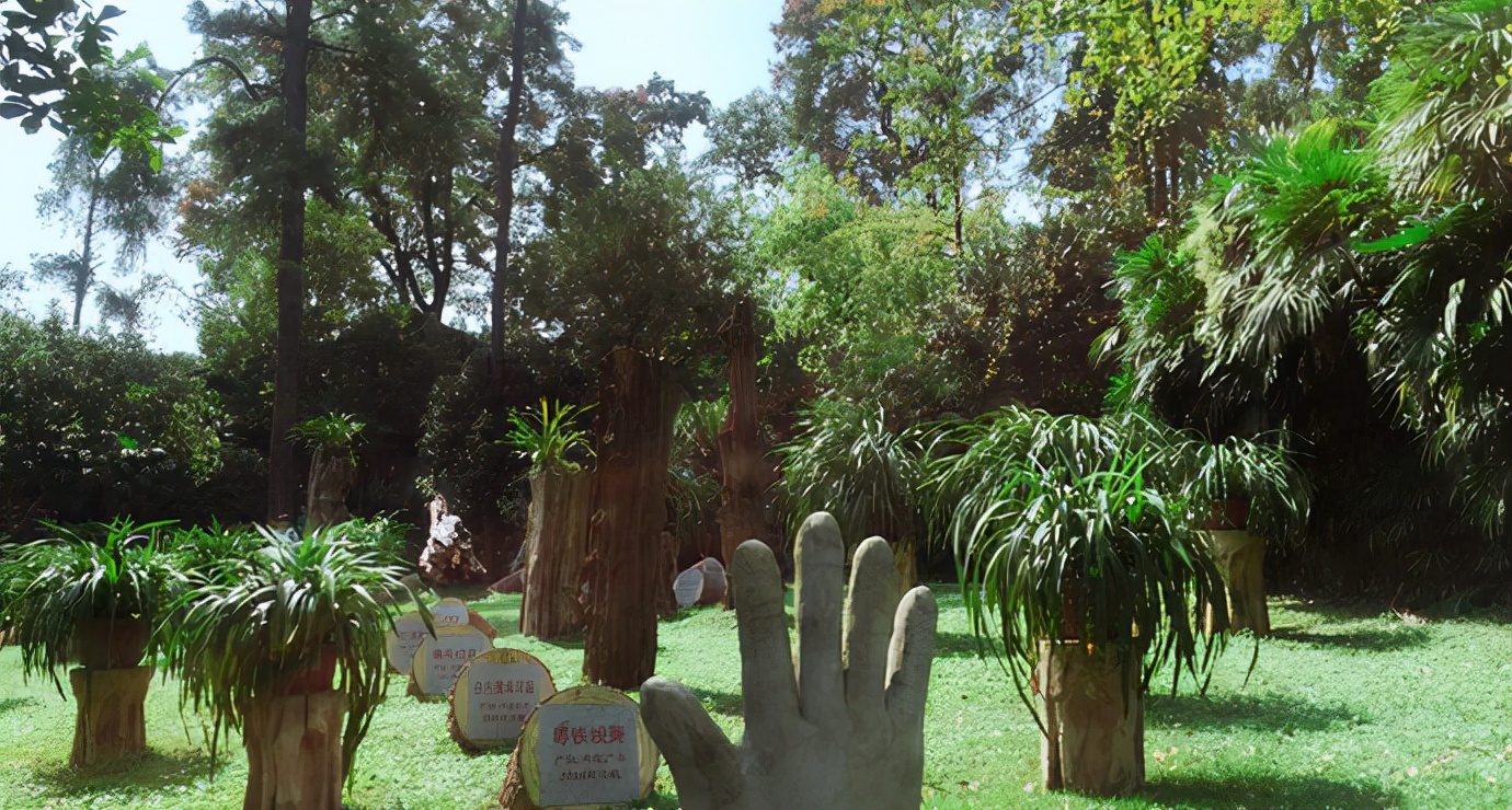 重庆南山风景区有哪些景点,重庆南山风景区旅游攻略图