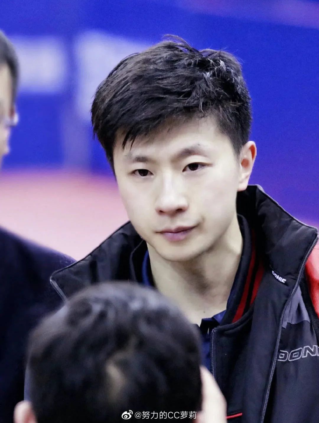 人类高质量男性,人类高质量男性羊绒