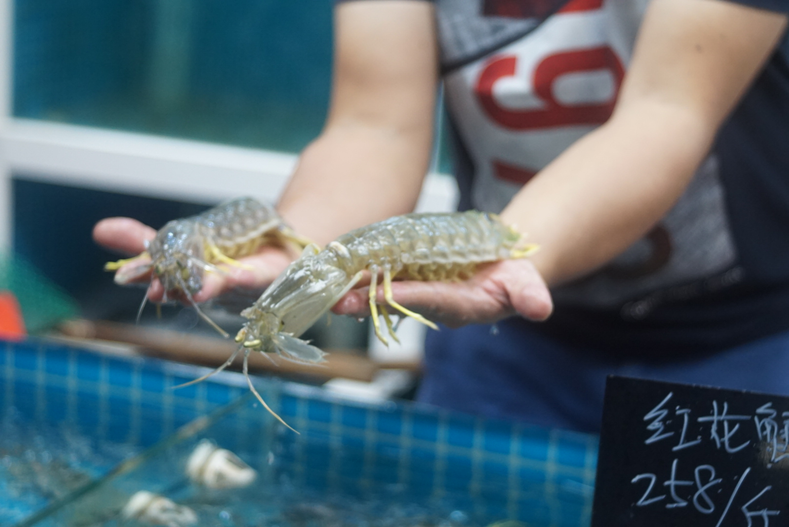 来来海鲜，旧店迁新址，老板直说我们家的菜都好吃，来过都想再来