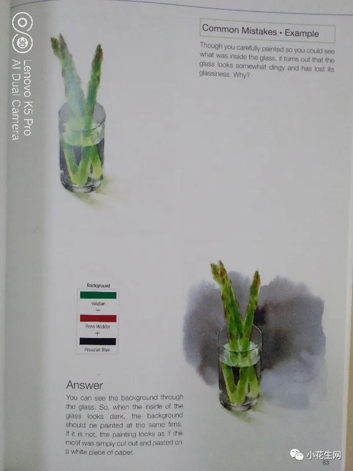 从零开始学绘画简单入门教程,从零开始学绘画必备的画