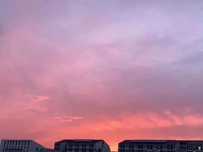 安徽省合肥师范学院2024招生简章,安徽省合肥师范学院今年投档线