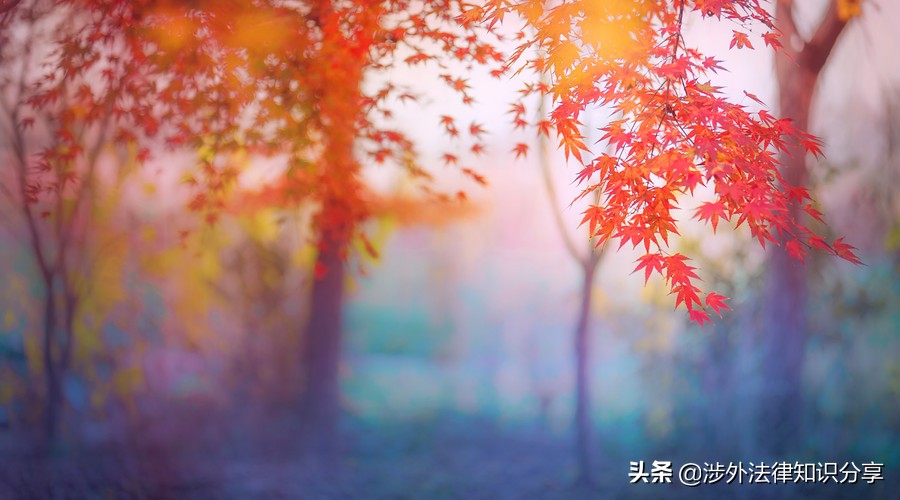 海事法律法规司法解释一览表,海事诉讼法司法解释