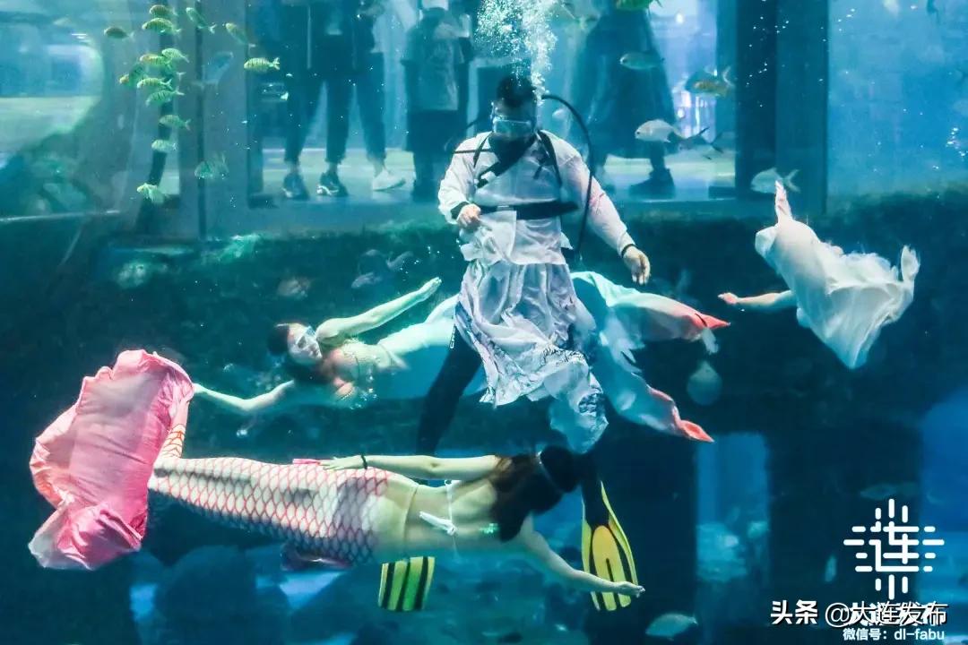 大连地区中秋出游攻略,大连中秋节旅行攻略