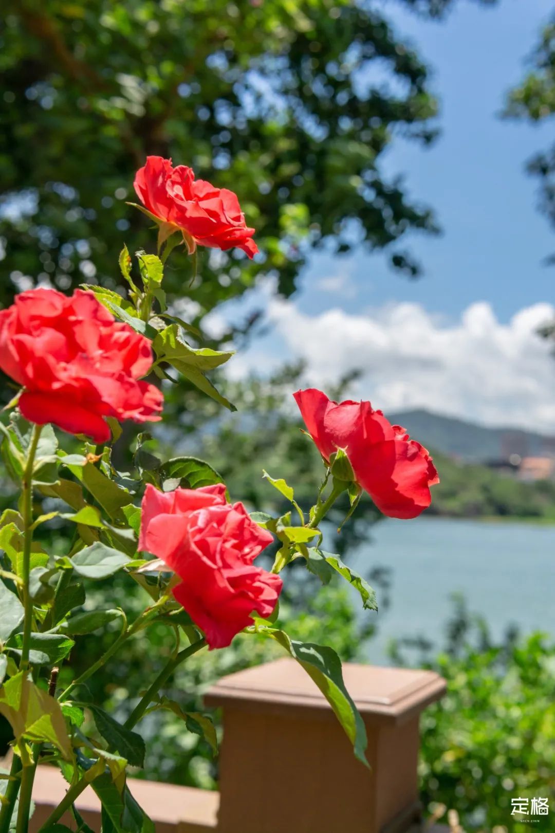 深圳十大避暑基地,深圳附近避暑地方有哪些景点