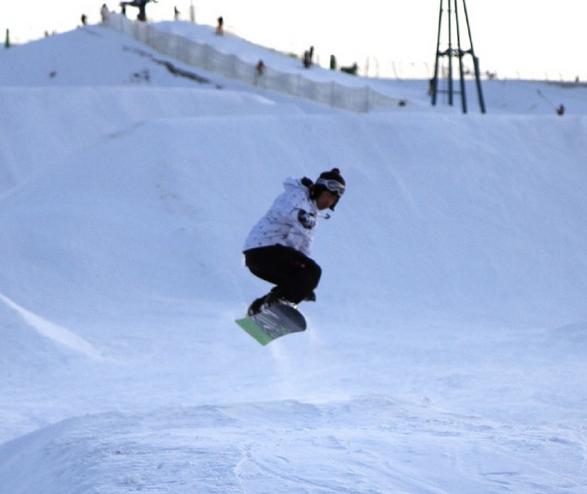 王思聪李麒麟事件,王思聪和粉丝口水战