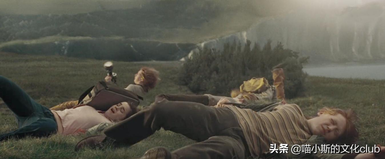 哈利波特所有奇怪生物,哈利波特里面的什么怪