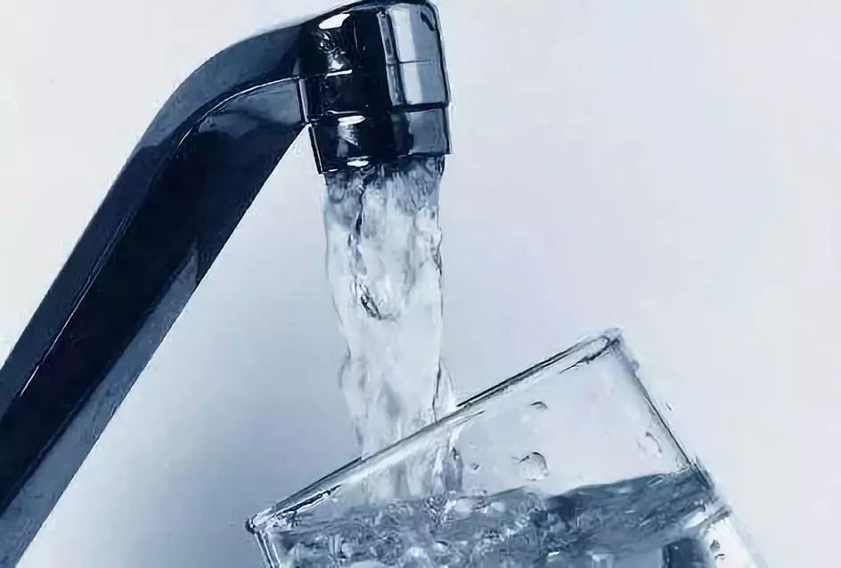 怎样炖煮燕窝才简单又好营养,炖燕窝需要用什么炖最好