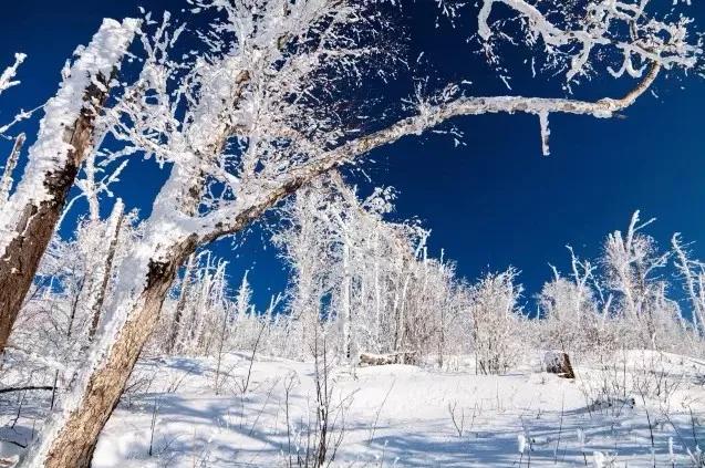 此生必去看一次雾凇太美了,此生必去看一次雾凇简直要美哭了